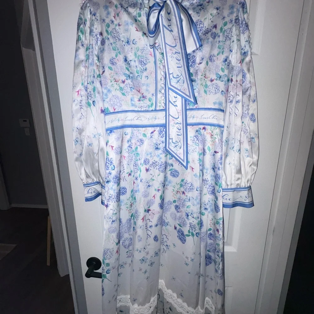 Chic Long Sleeve Floral Dress in Blue and White - Picture 10 of 14